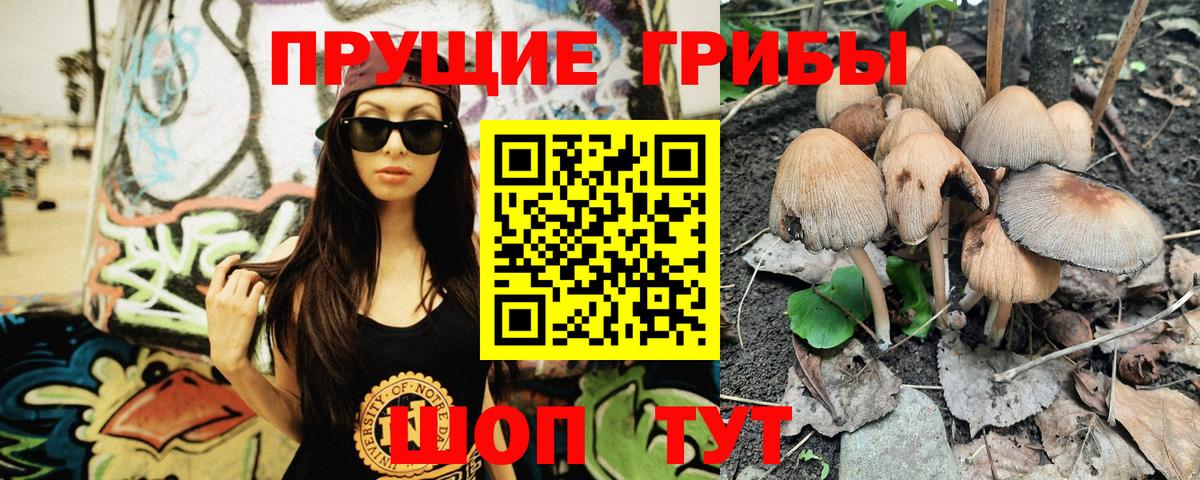 Галлюциногенные грибы GOLDEN TEACHER Лобня