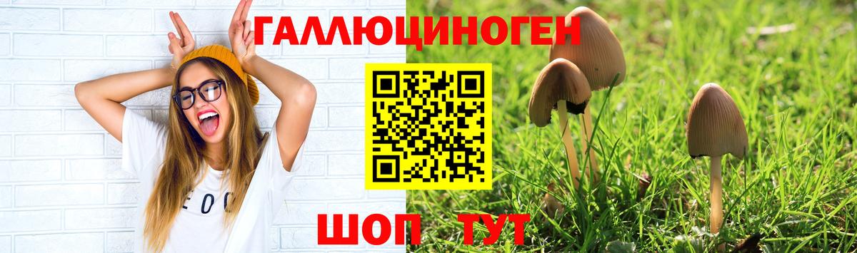 Псилоцибиновые грибы мухоморы  Вход с VPN  Псилоцибиновые грибы мицелий  Лобня 